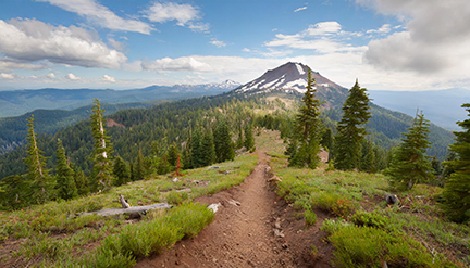 Timberline Trail